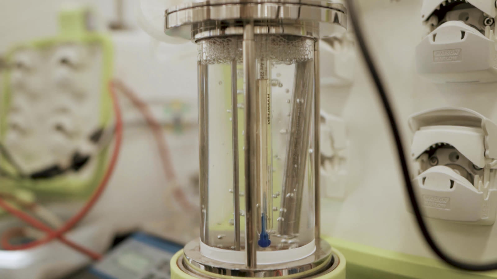 Close-up of a glass bioreactor vessel on the bench, the culture inside lit from the side